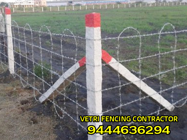 services images